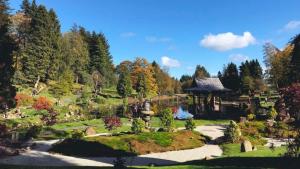 Japanese Garden Dollar